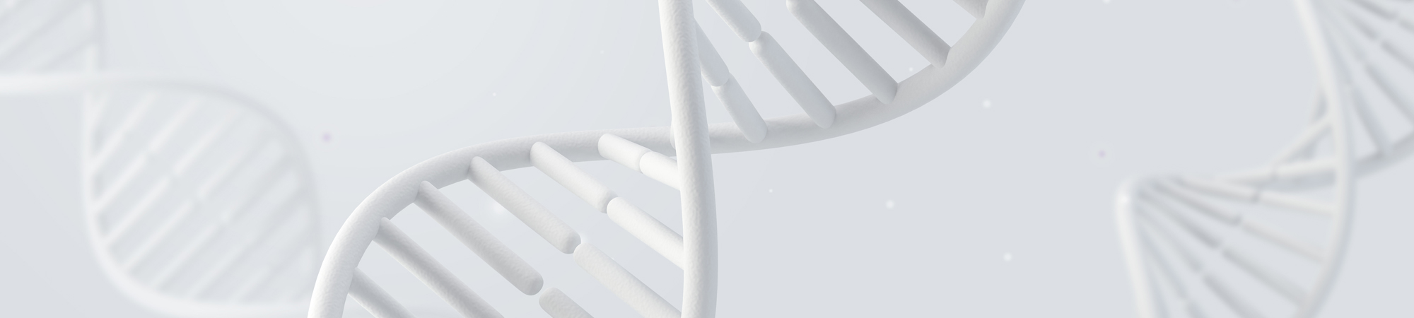 서브비주얼이미지